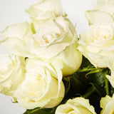 3-24-fairtrade-white-roses