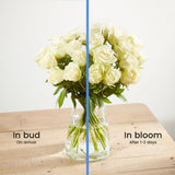 4-24-fairtrade-white-roses