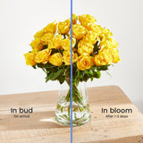 4-24-fairtrade-yellow-roses
