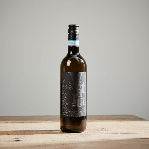 1-vitalita-delle-venezie-doc-pinot-grigio