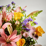 3-natures-revelry