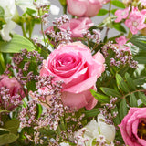 2-baby-pink