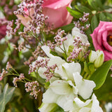 5-baby-pink