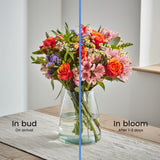 Dawn Promise Bouquet bud & bloom