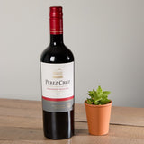 1-perez-cruz-red-wine-and-organic-succulent