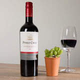 2-perez-cruz-red-wine-and-organic-succulent