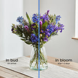 3-out-of-the-blue