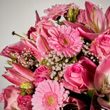 3-pink-perfection