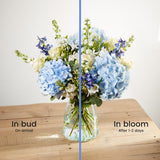 5-positive-luxury-bouquet