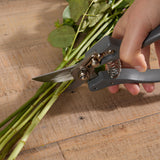 1-secateurs
