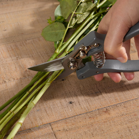 1-secateurs