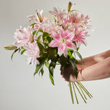 3-scented-double-lilies
