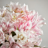 1-scented-double-lilies