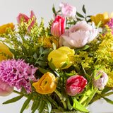 3-spring-revival