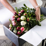 5-fortnightly-flower-subscription