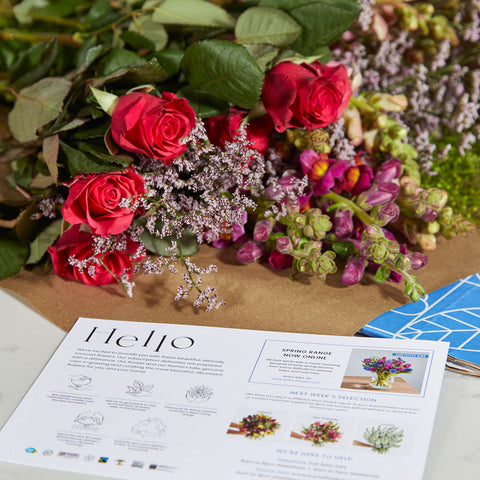 Flower Subscription Box