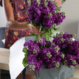 9-fortnightly-flower-subscription