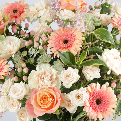 Pet Friendly Flower Subscription Box Auto renew